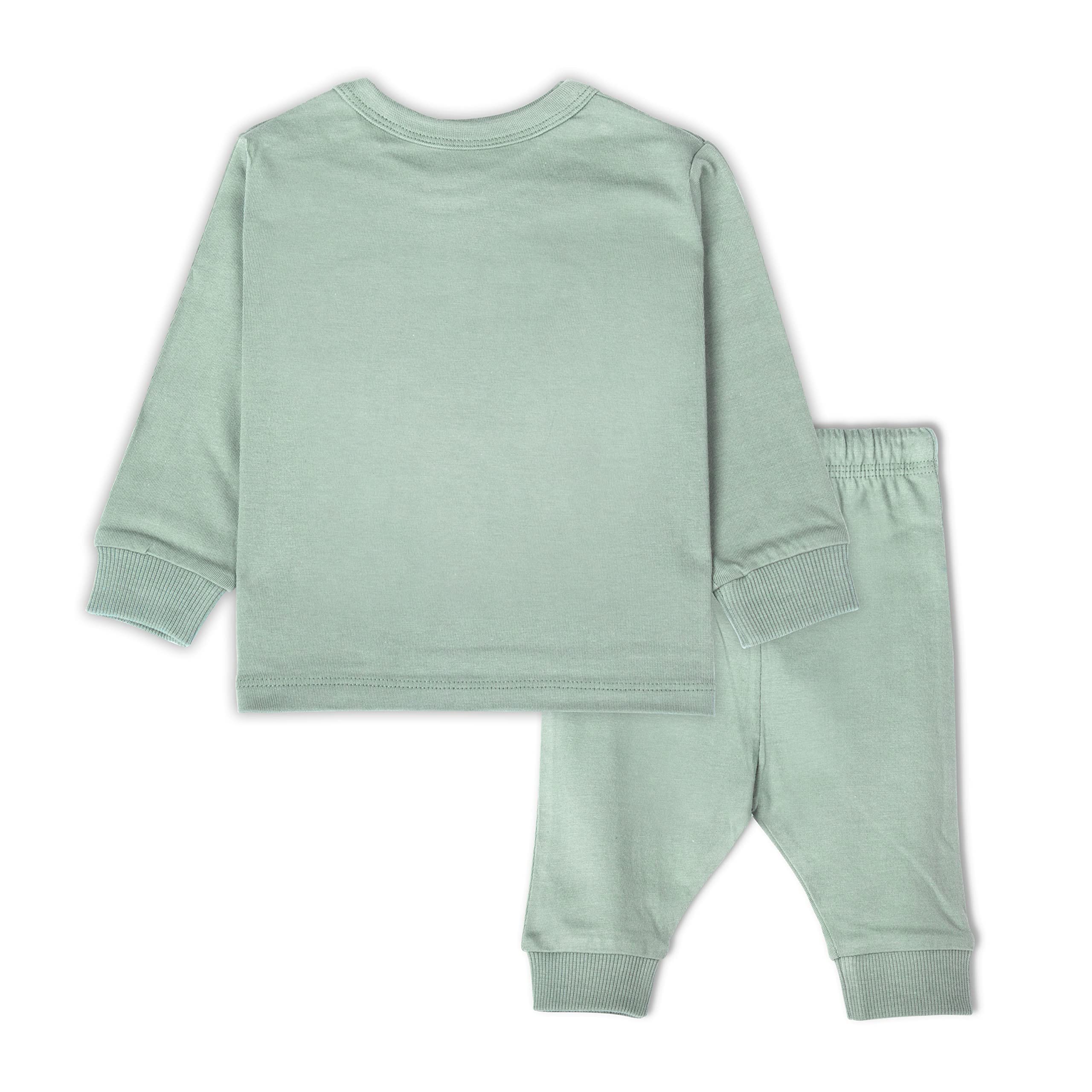 ARIEL Cotton Clothing Sets for Baby Boys & girls - Unisex Clothing sets Full Sleeve T-shirt & Pant (GrnPan_2-3 Years) - Image 8